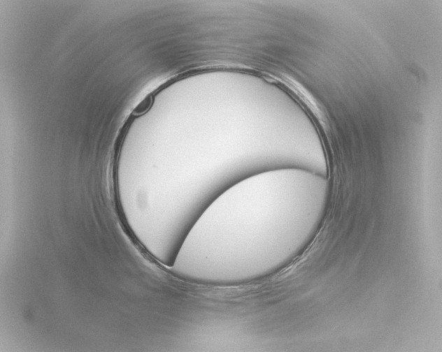 X0000116051293200912181244