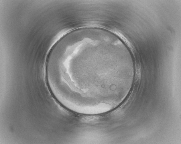 X0000116051294200912181244