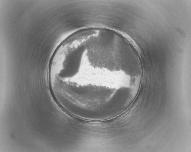 X0000116051295200912181244