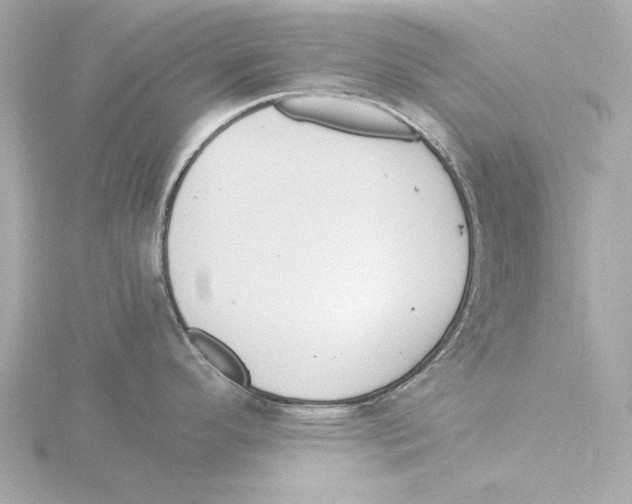 X0000116051296200912181243