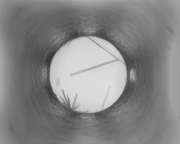 X0000116051299200912181243