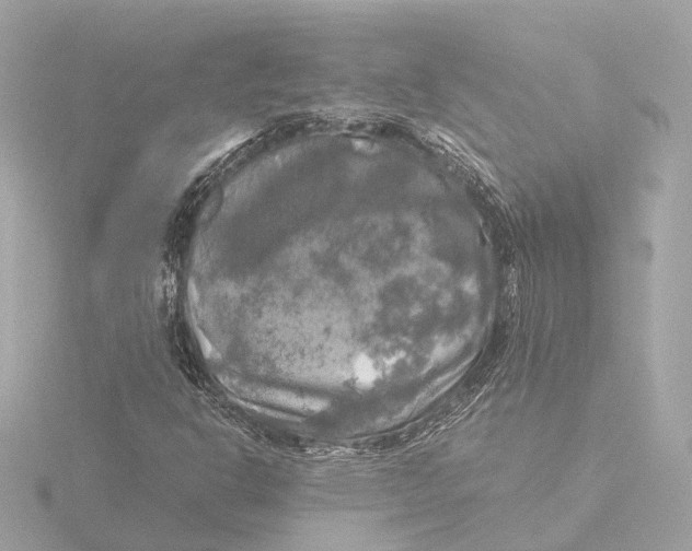 X0000116051302200912181243