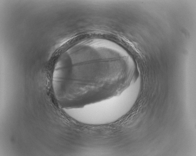 X0000116051303200912181243