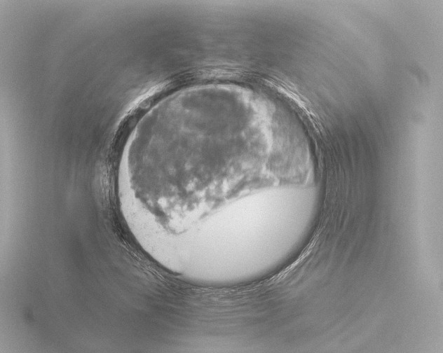 X0000116051309200912181243