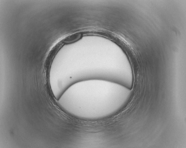 X0000116051310200912181243