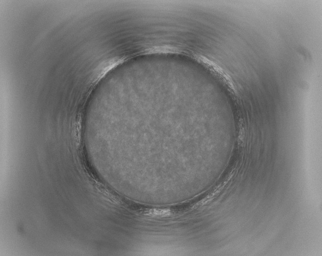 X0000116051313200912181243