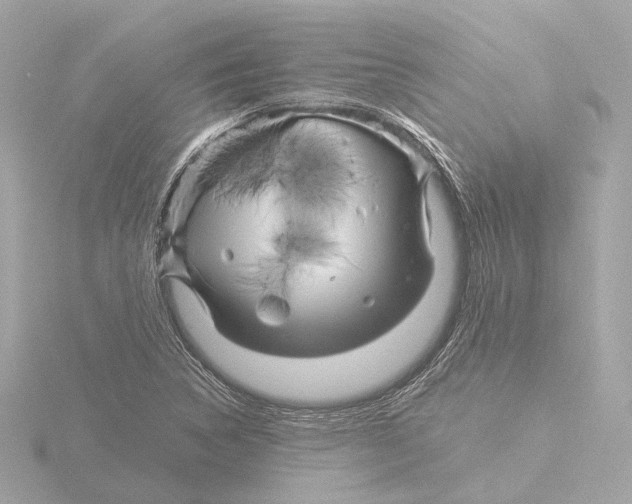 X0000116051314200912181243