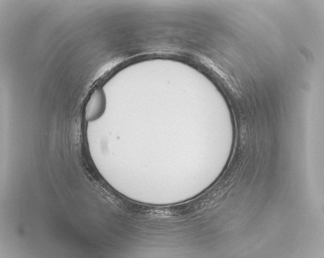 X0000116051315200912181243