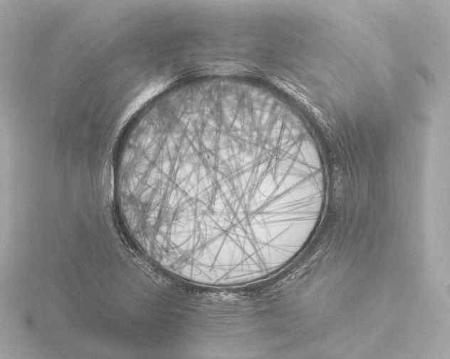 X0000116051317200912181243