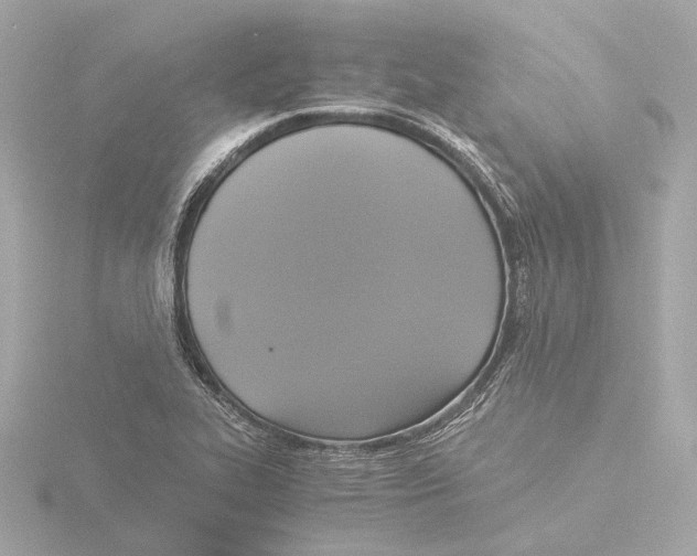 X0000116051319200912181243