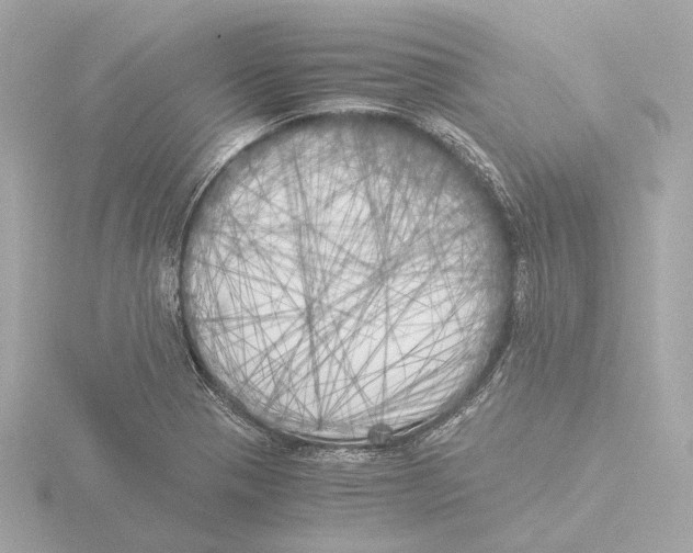 X0000116051321200912181243