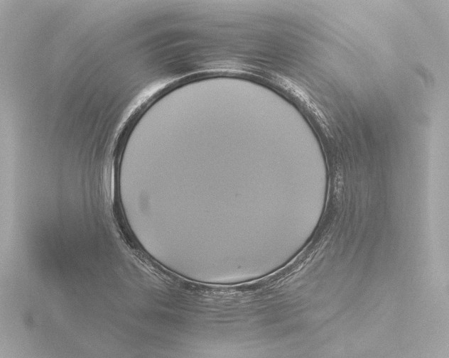 X0000116051323200912181243