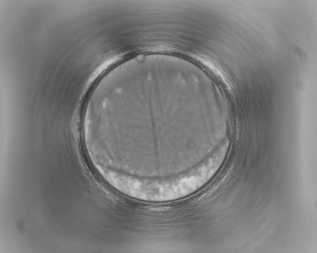 X0000116051325200912181243