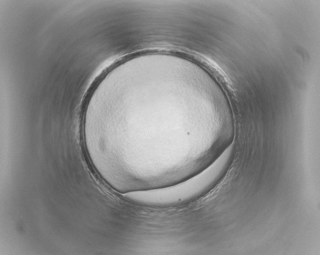 X0000116051326200912181243