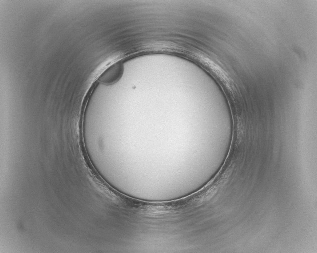 X0000116051330200912181243