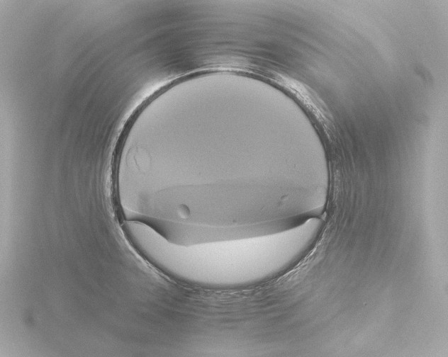 X0000116051331200912181243