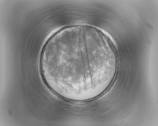 X0000116051333200912181243