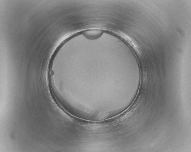 X0000116051334200912181243