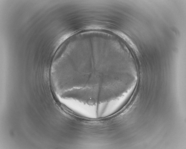 X0000116051337200912181243