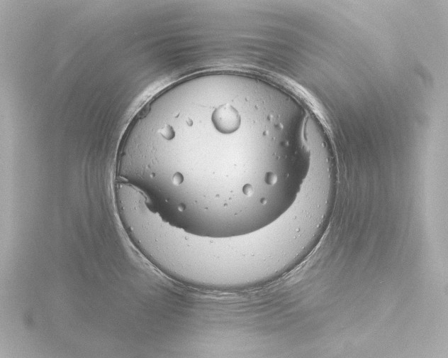 X0000116051338200912181243