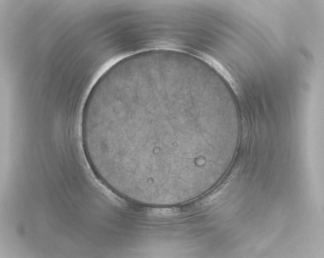 X0000116051339200912181243