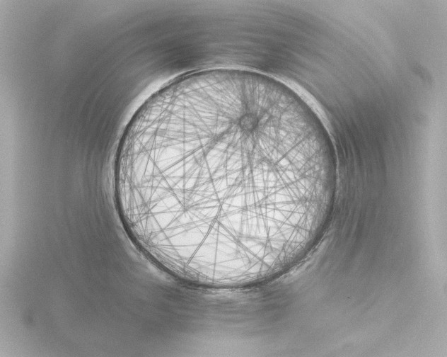 X0000116051341200912181243