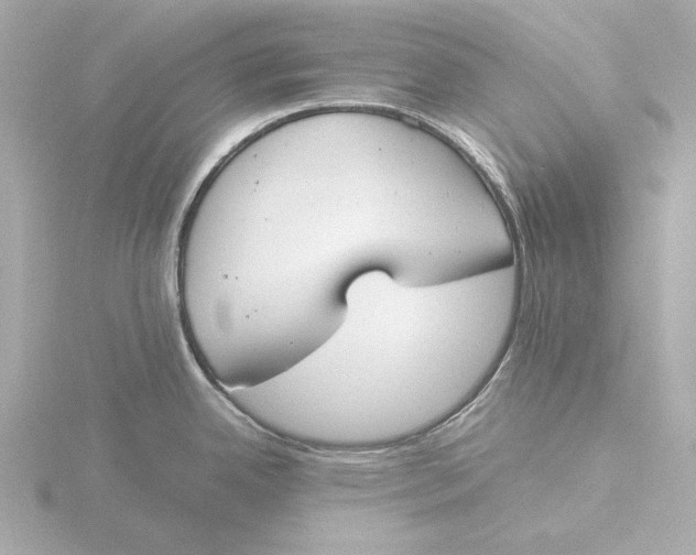 X0000116051342200912181243