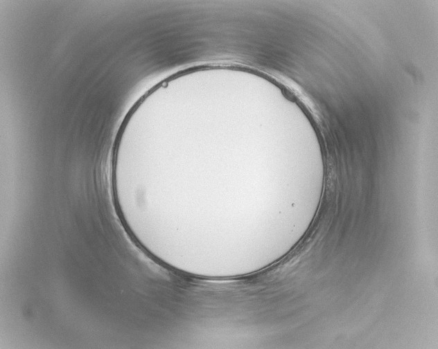 X0000116051343200912181243