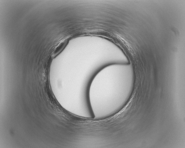 X0000116051353200912181243