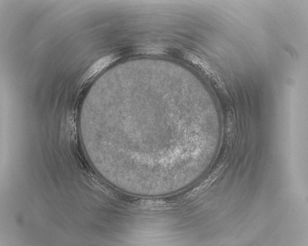 X0000116051354200912181243