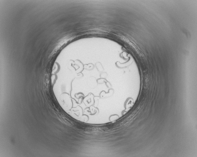 X0000116051355200912181243