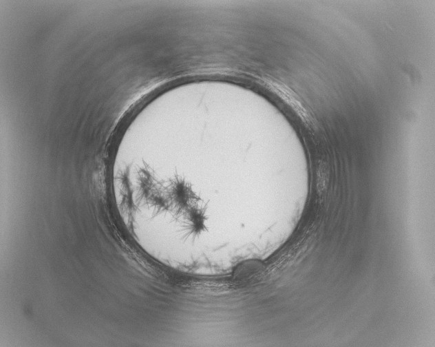 X0000116051356200912181243