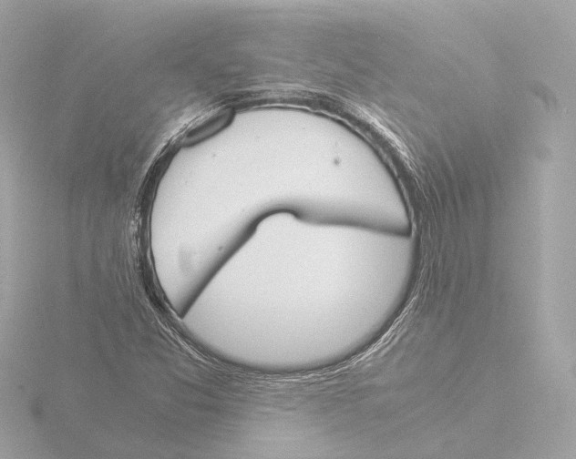 X0000116051357200912181243