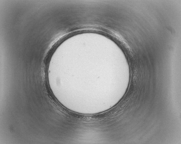 X0000116051360200912181243