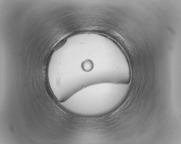 X0000116051361200912181242