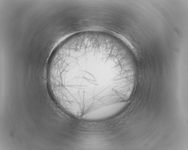 X0000116051364200912181242