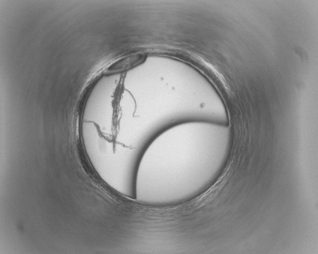 X0000116051365200912181242