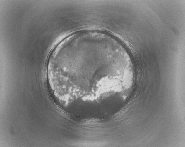 X0000116051367200912181242