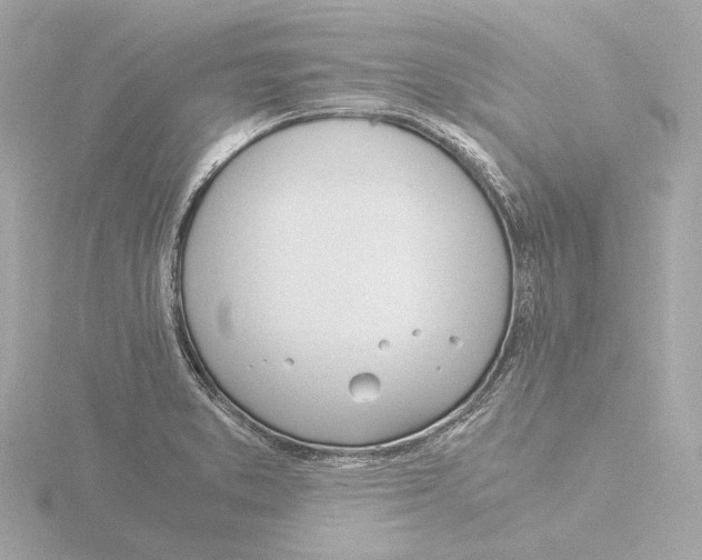 X0000116051373200912181242