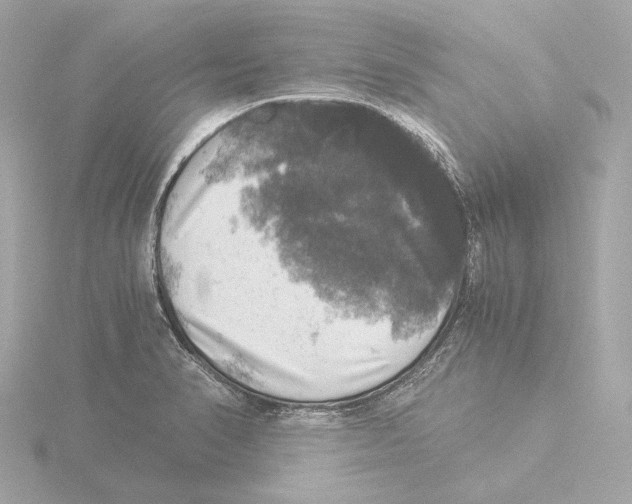 X0000116051374200912181242