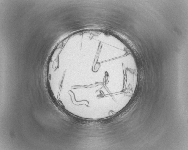 X0000116051375200912181242
