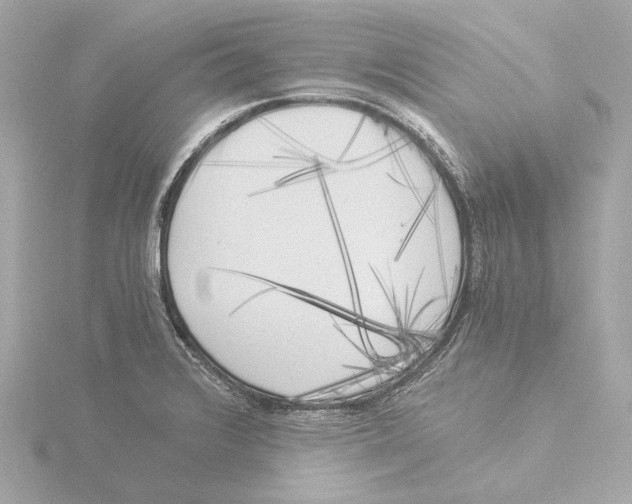 X0000116051376200912181242