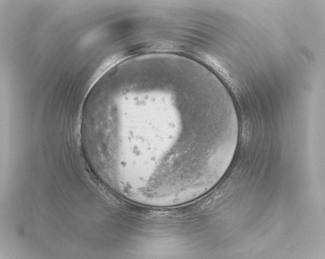 X0000116051378200912181242