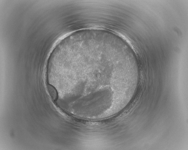 X0000116051379200912181242