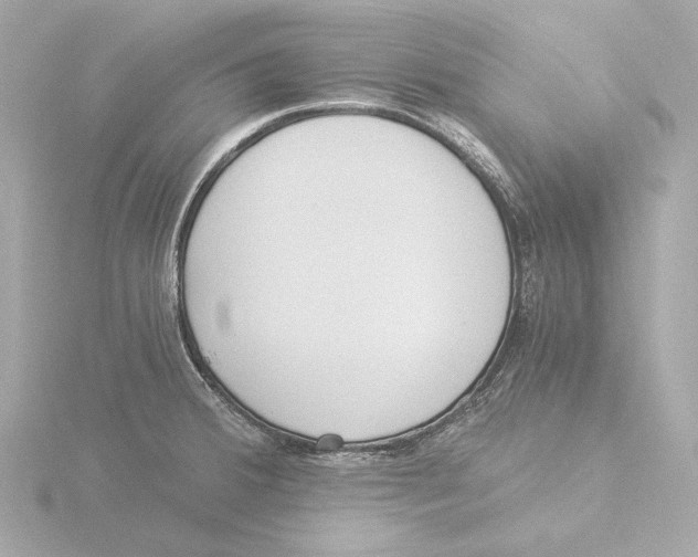 X0000116051380200912181242