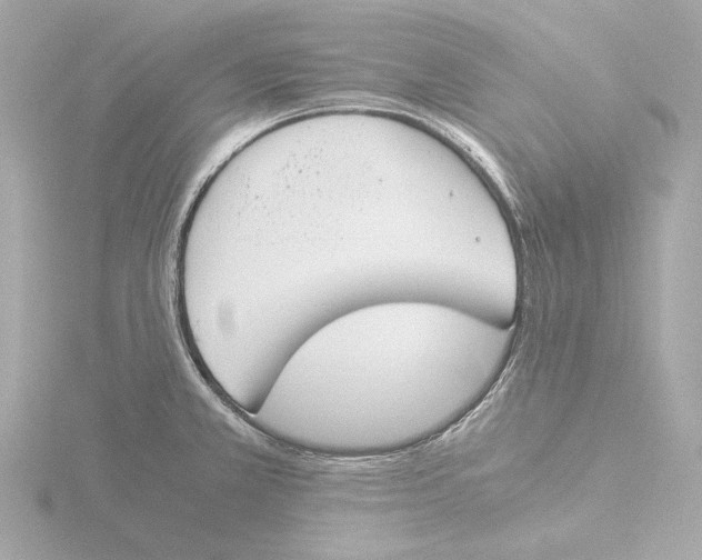 X0000116051381200912181242