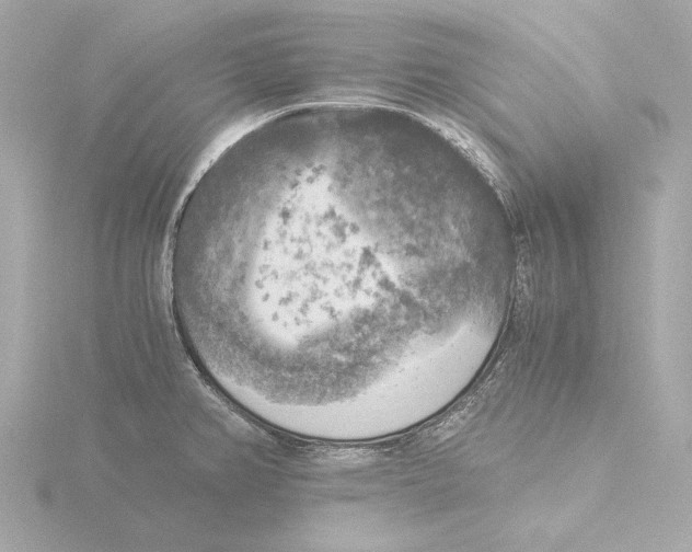 X0000116051382200912181242