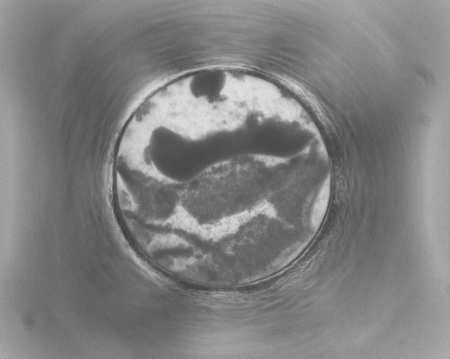 X0000116051383200912181242