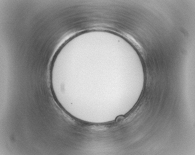 X0000116051384200912181242