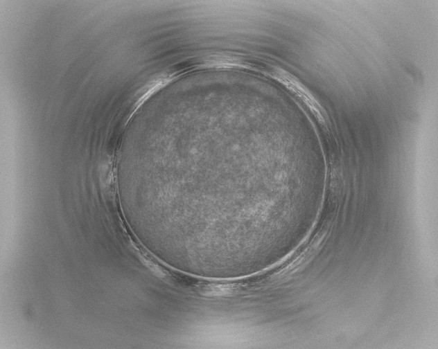 X0000116051385200912181242